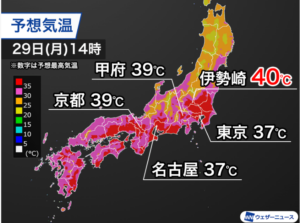 本日の営業代行 ポスティング実況中継