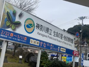 本日の営業代行 ポスティング実況中継