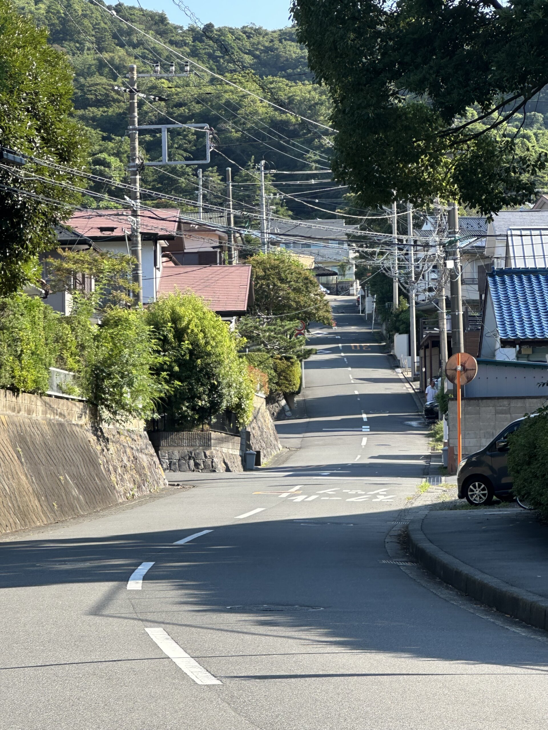 本日の営業代行 ポスティング実況中継