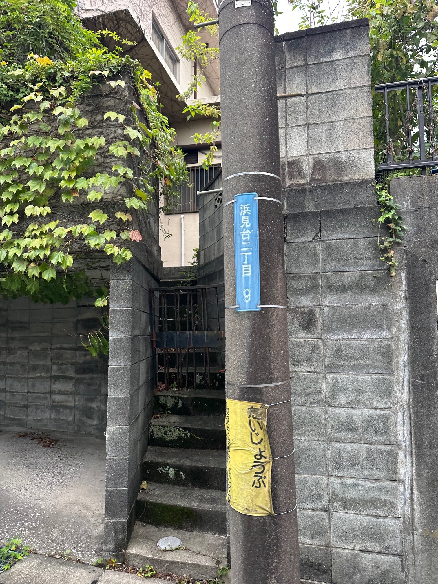 本日の営業代行 ポスティング実況中継