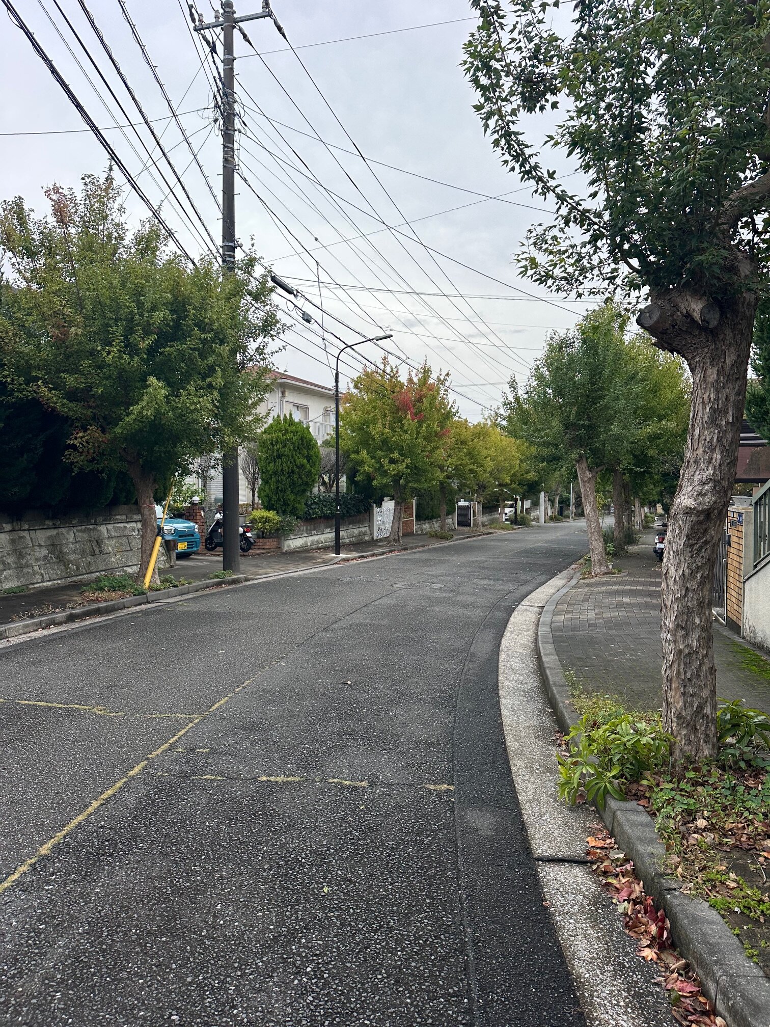 本日の営業代行 ポスティング実況中継