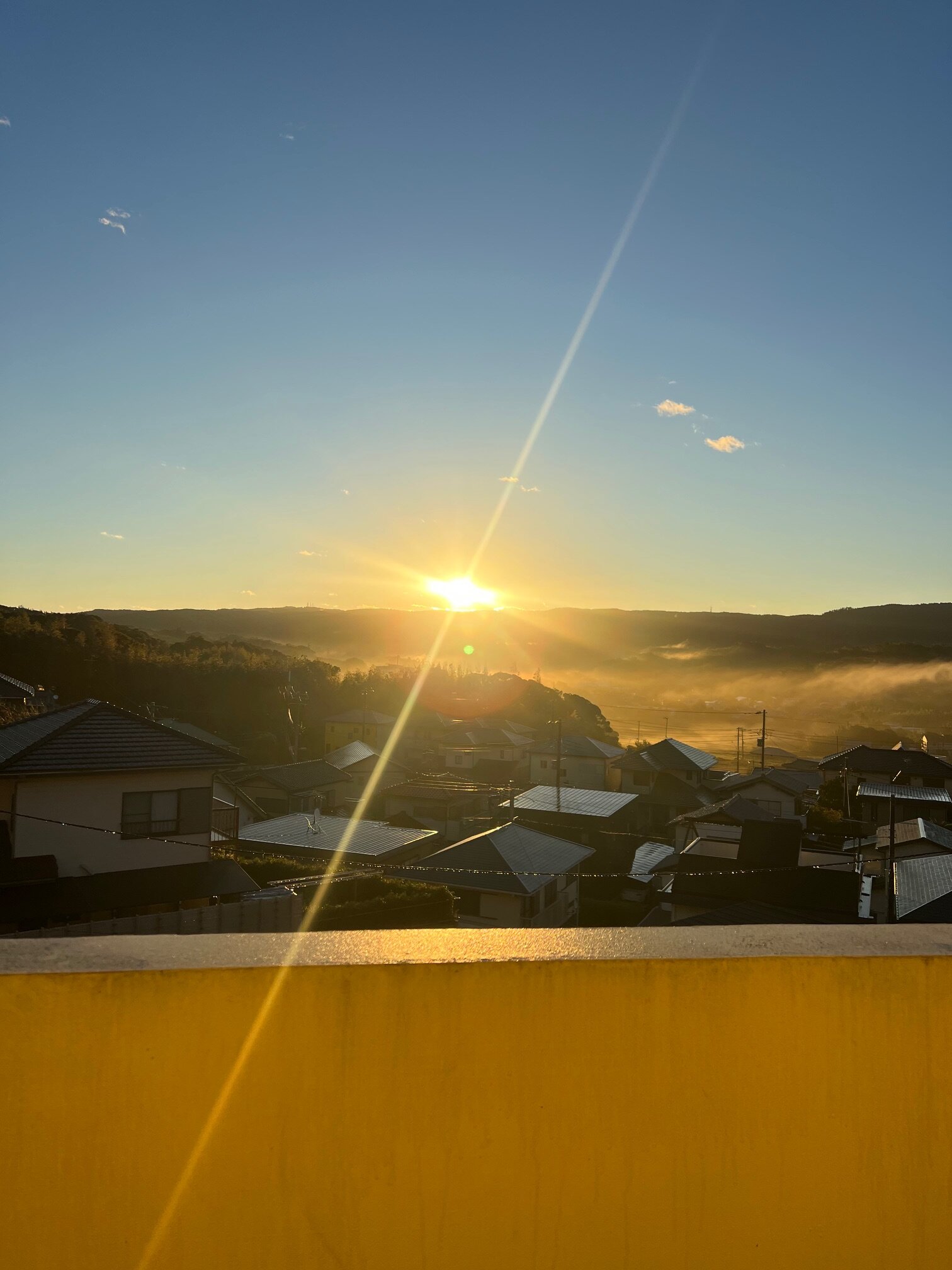 本日の営業代行 ポスティング実況中継
