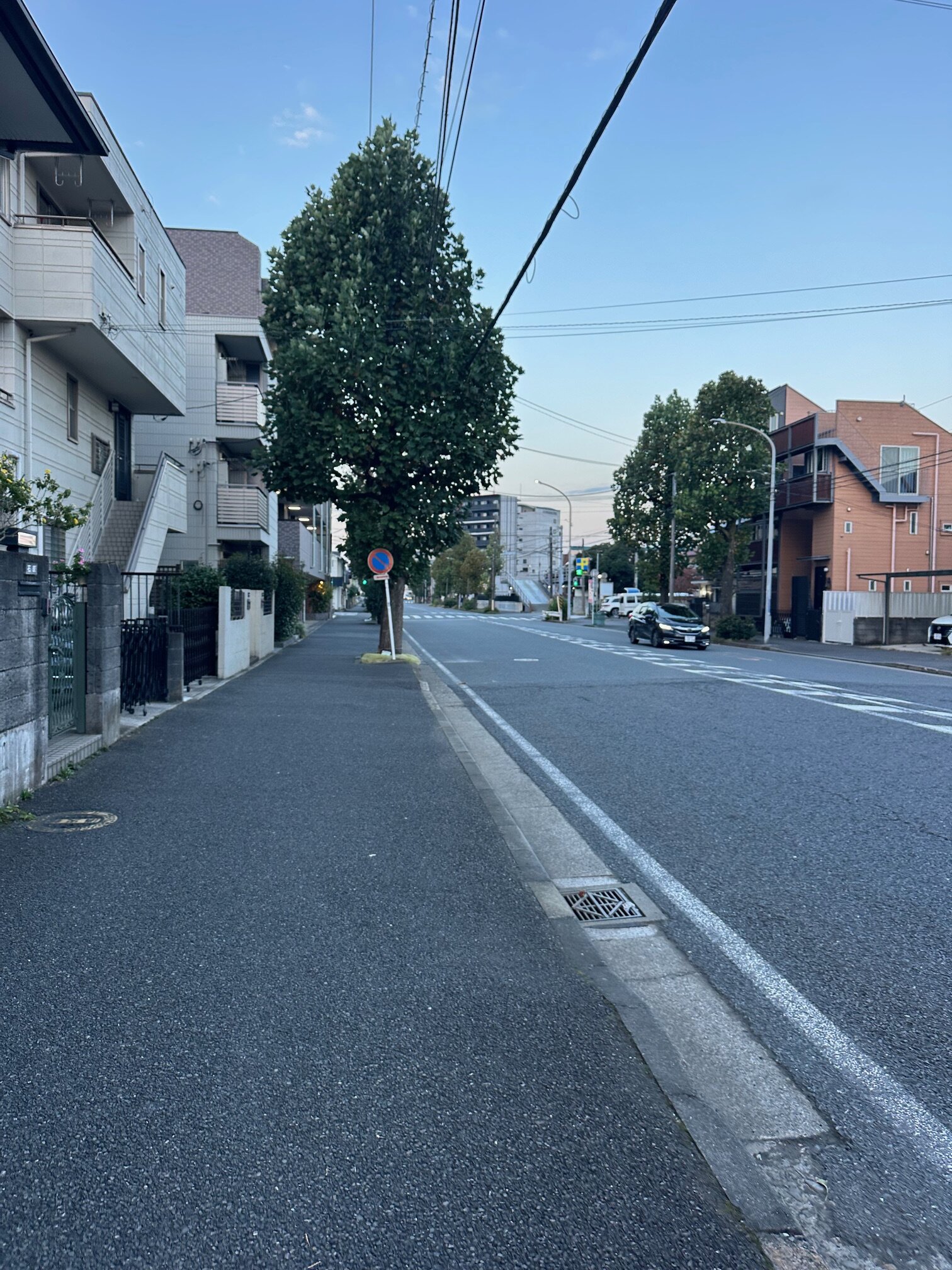 本日の営業代行 ポスティング実況中継