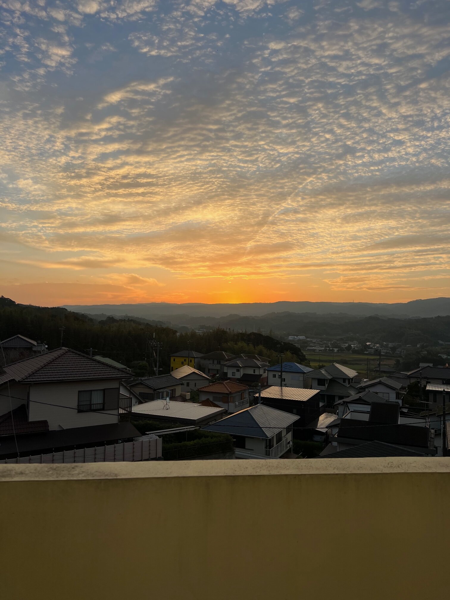 本日の営業代行 ポスティング実況中継