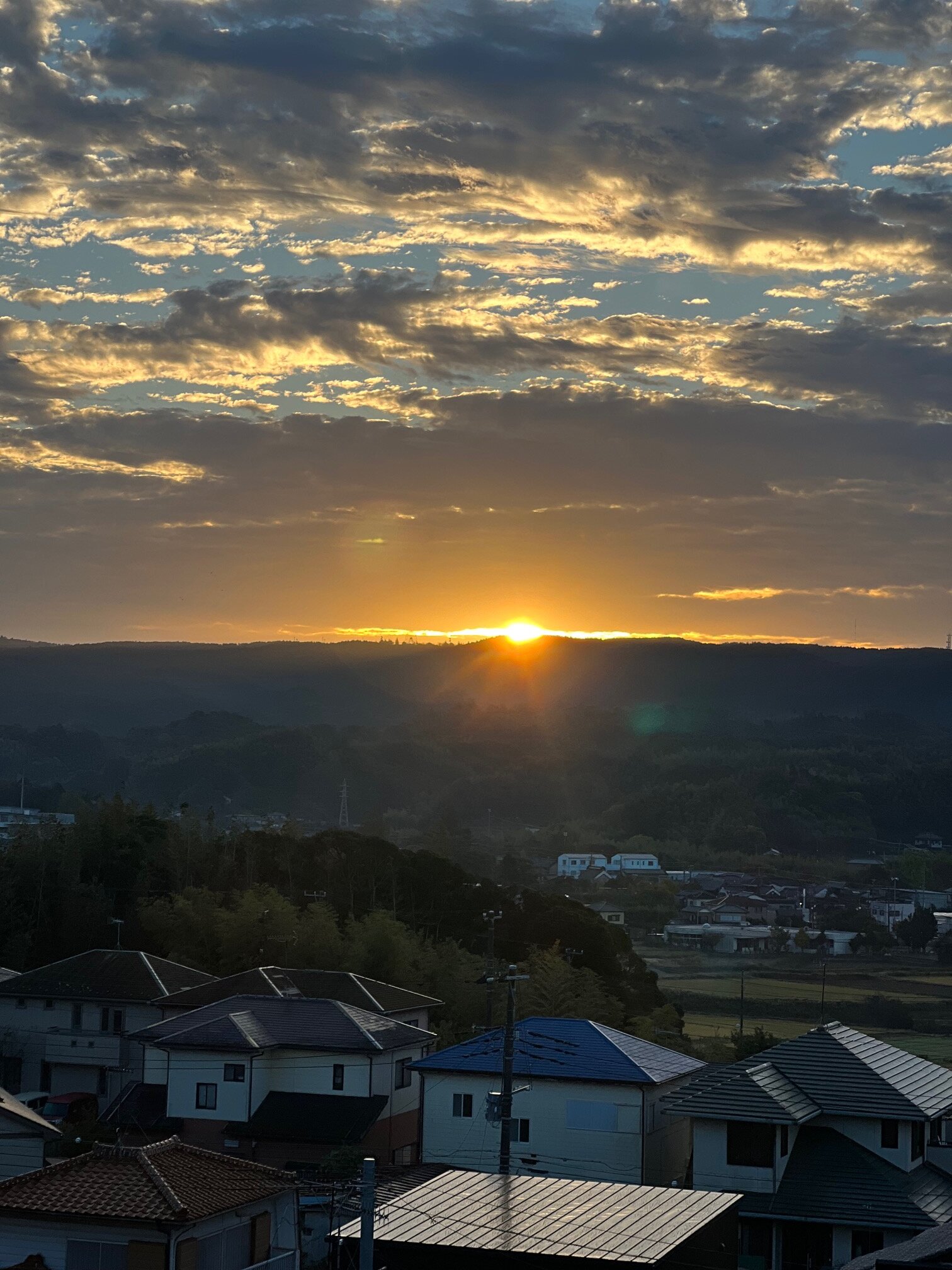 本日の営業代行 ポスティング実況中継