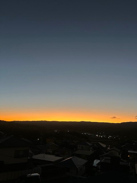 本日の営業代行 ポスティング実況中継