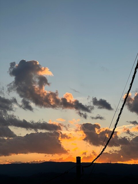 本日の営業代行 ポスティング実況中継