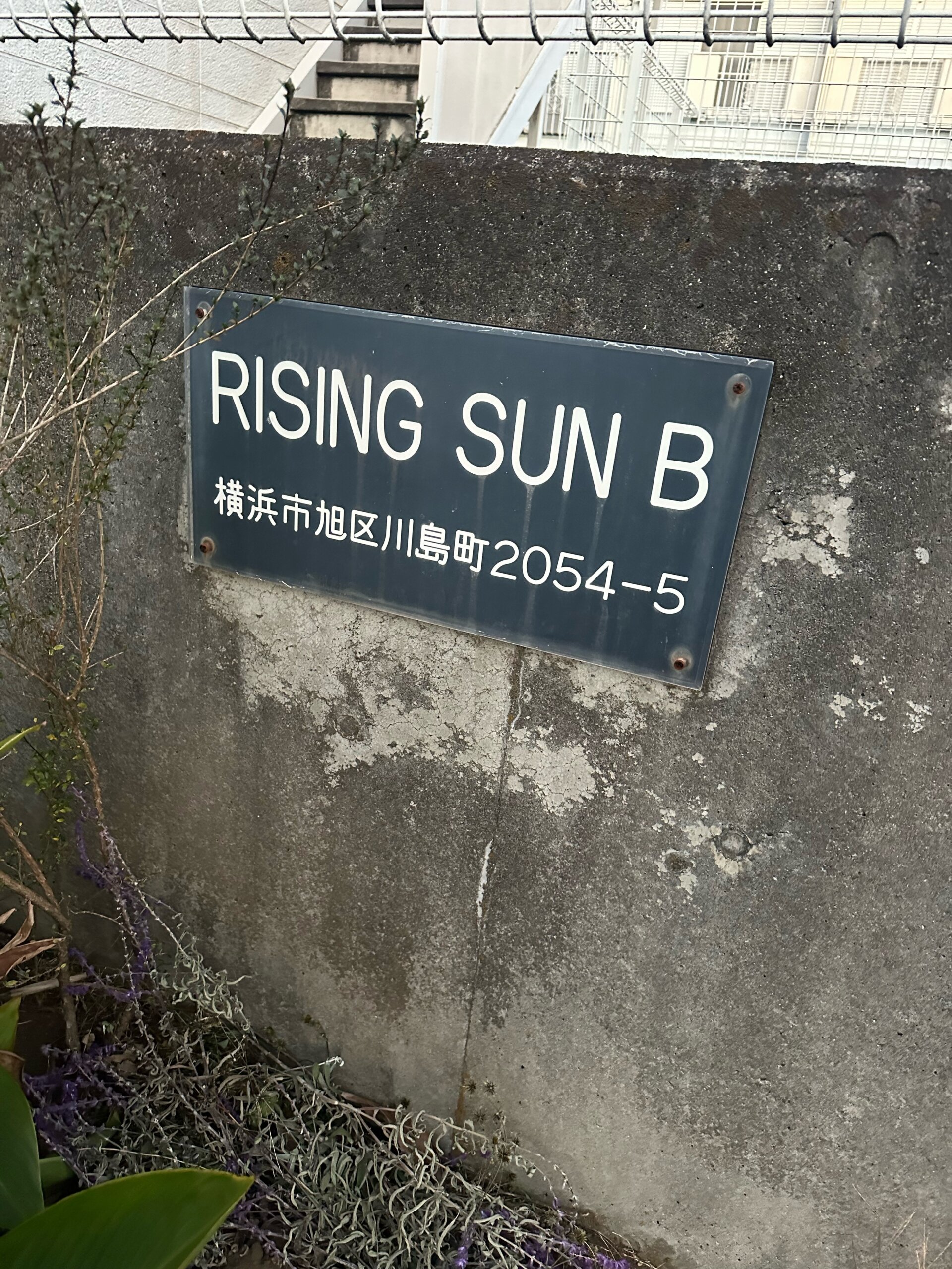 本日の営業代行 ポスティング実況中継