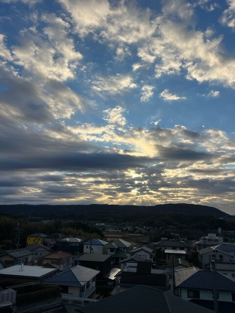 本日の営業代行 ポスティング実況中継