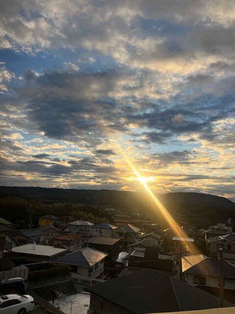 本日の営業代行 ポスティング実況中継