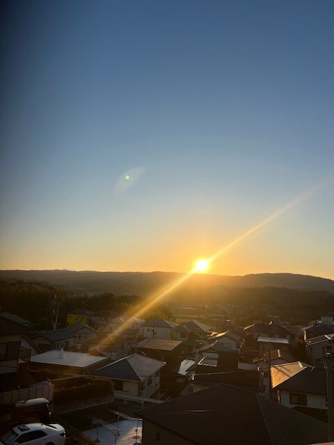 本日の営業代行 ポスティング実況中継