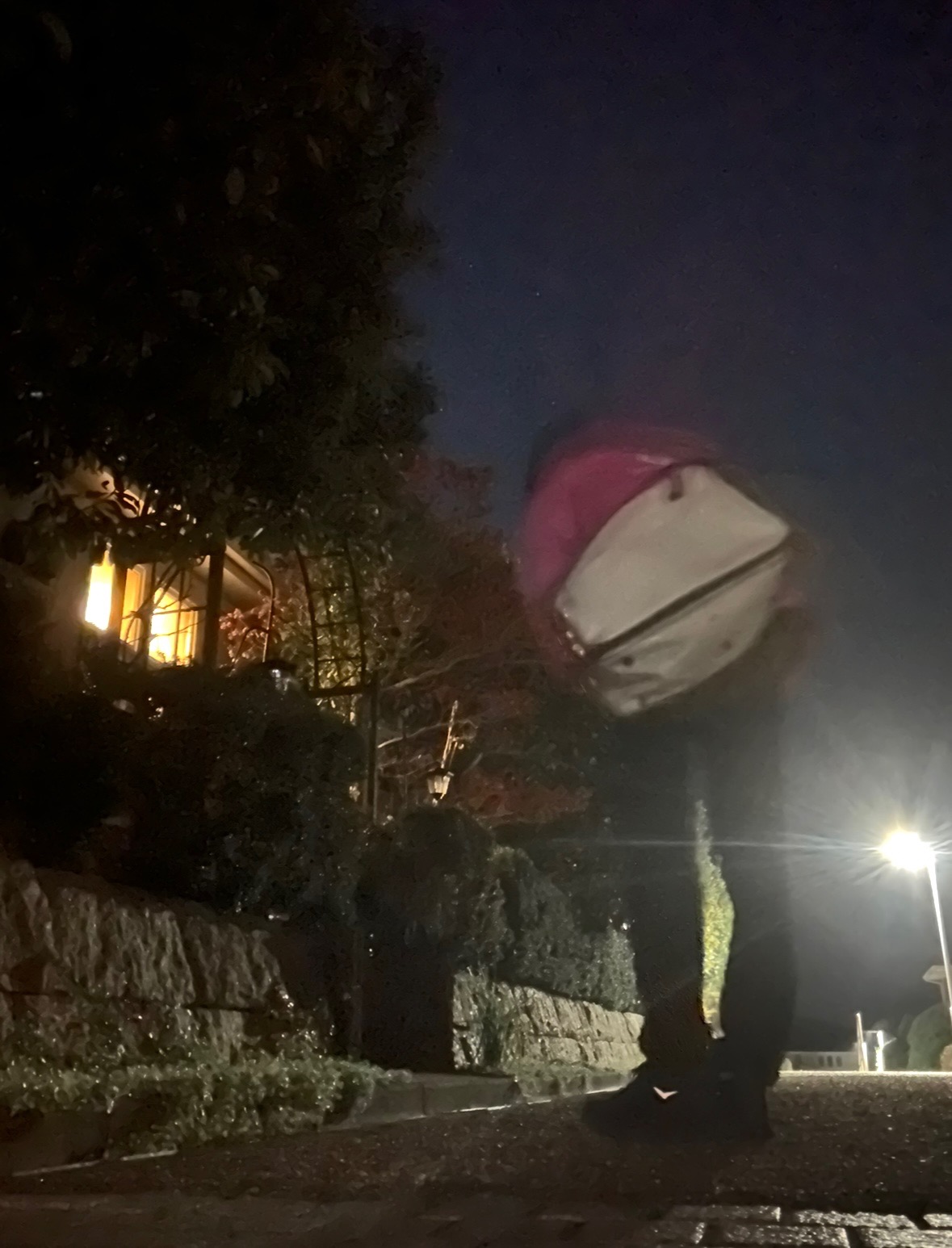 本日の営業代行 ポスティング実況中継