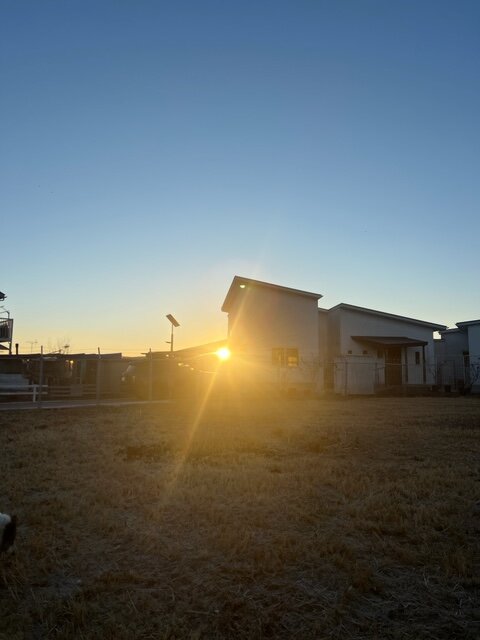 本日の営業代行 ポスティング実況中継